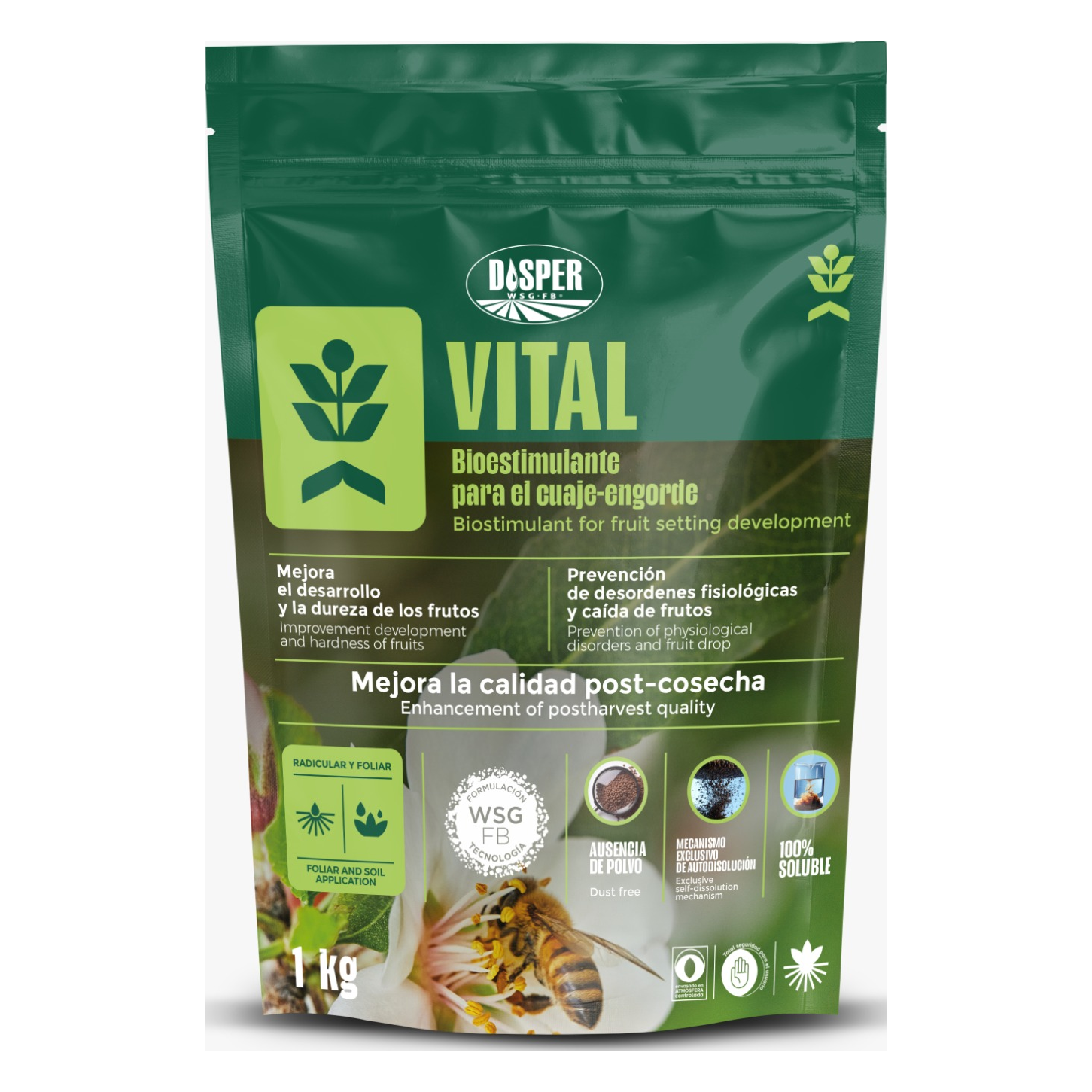 Embalagem do DISPER Vital
